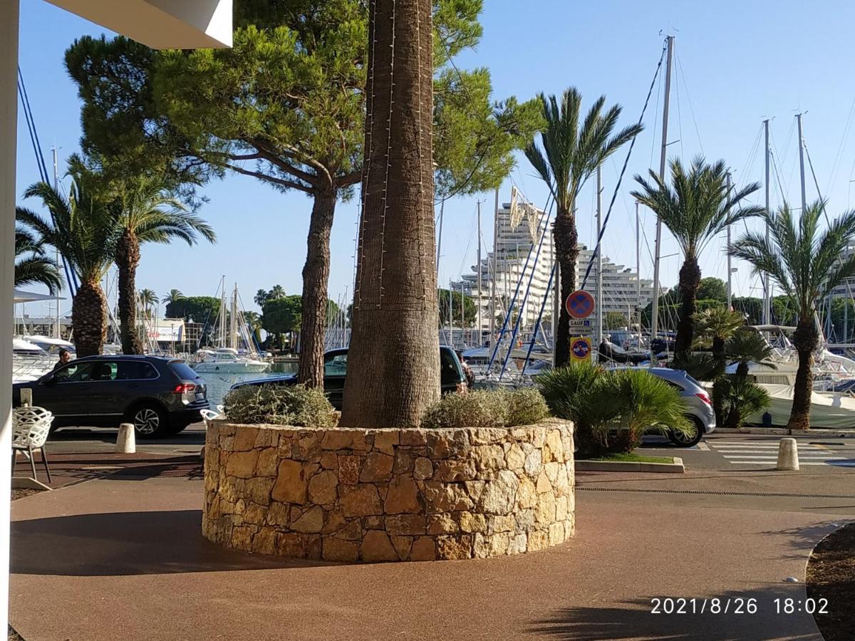 Studio Rez De Jardin Marina Baie Des Anges Villeneuve-Loubet Kültér fotó