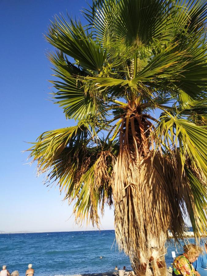 Studio Rez De Jardin Marina Baie Des Anges Villeneuve-Loubet Kültér fotó